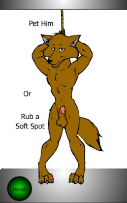 Yiff Toy